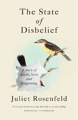 The State of Disbelief - Juliet Rosenfeld