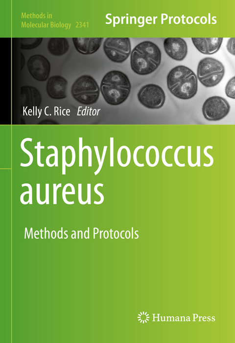 Staphylococcus aureus - 