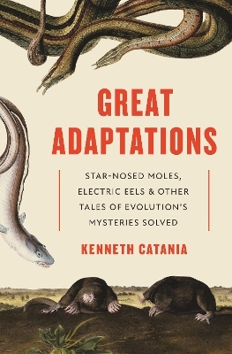 Great Adaptations - Kenneth Catania