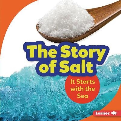 The Story of Salt - Lisa Owings