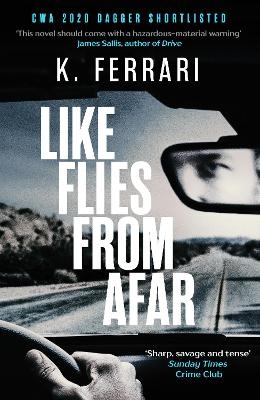 Like Flies from Afar - K. Ferrari