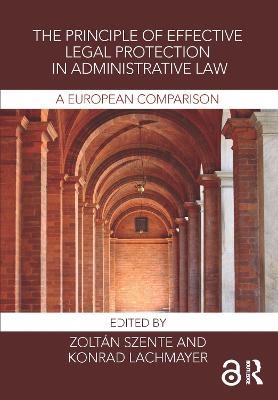 The Principle of Effective Legal Protection in Administrative Law - 