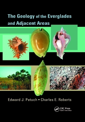 The Geology of the Everglades and Adjacent Areas - Edward J. Petuch, Charles Roberts