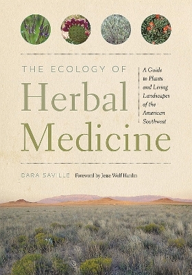 The Ecology of Herbal Medicine - Dara Saville