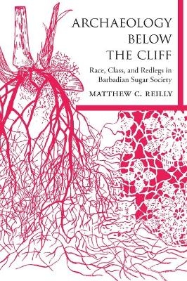 Archaeology below the Cliff - Matthew C. Reilly