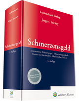 Schmerzensgeld - Jaeger, Lothar; Luckey, Jan