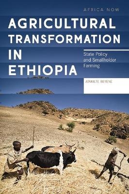 Agricultural Transformation in Ethiopia - 