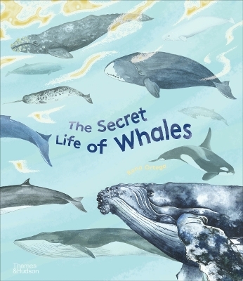 The Secret Life of Whales - Rena Ortega