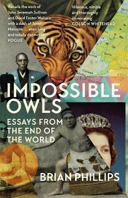 Impossible Owls - Brian Phillips