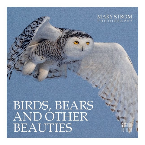 Birds, Bears and other Beauties - Mary Strom