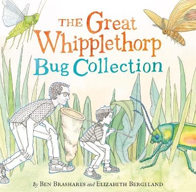 The Great Whipplethorp Bug Collection - Ben Brashares