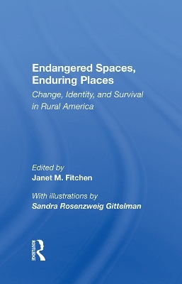 Endangered Spaces, Enduring Places - Janet M. Fitchen