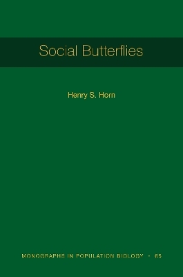 Social Butterflies - Henry S. Horn