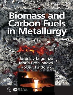 Biomass and Carbon Fuels in Metallurgy - Jaroslav Legemza, Mária Fröhlichová, Róbert Findorák