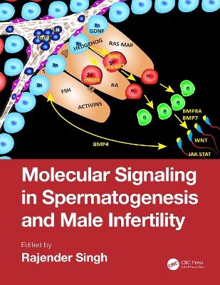 Molecular Signaling in Spermatogenesis and Male Infertility - 