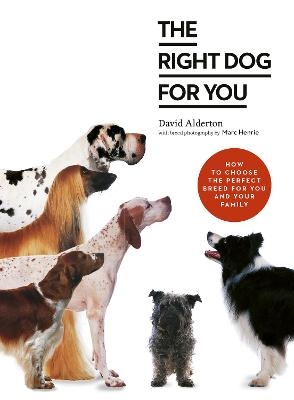 The Right Dog for You - David Alderton