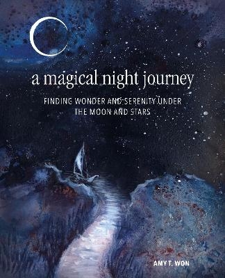 A Magical Night Journey - Amy T Won