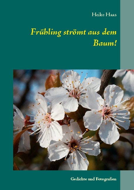 Frühling strömt aus dem Baum! - Heike Haas