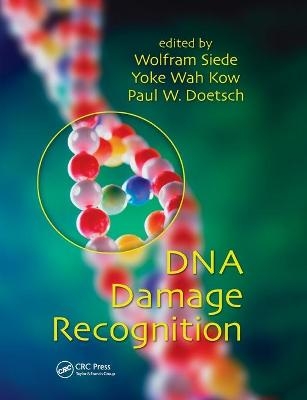 DNA Damage Recognition - 