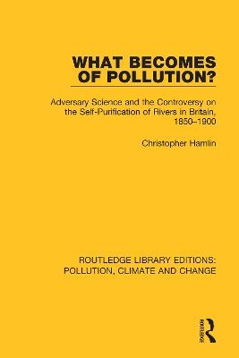 What Becomes of Pollution? - Christopher Hamlin
