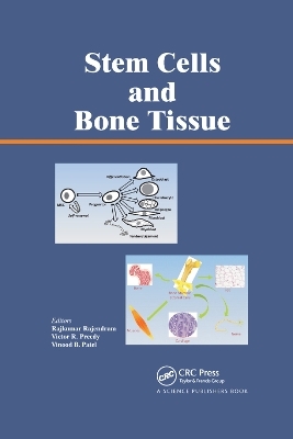 Stem Cells and Bone Tissue - 