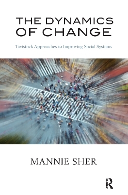 The Dynamics of Change - Mannie Sher