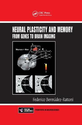 Neural Plasticity and Memory - 