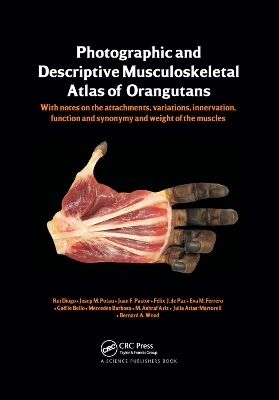 Photographic and Descriptive Musculoskeletal Atlas of Orangutans - Rui Diogo, Josep M. Potau, Juan F. Pastor, Felix J. de Paz, Mercedes Barbosa