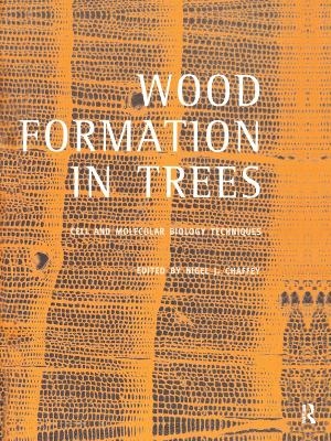 Wood Formation in Trees - 