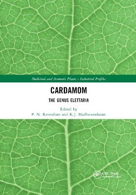Cardamom - 