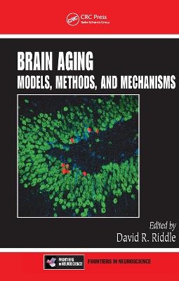 Brain Aging - 