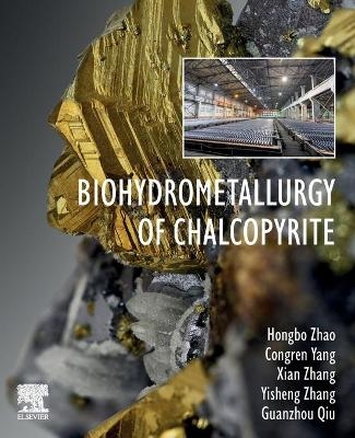 Biohydrometallurgy of Chalcopyrite - Hongbo Zhao, Congren Yang, Xian Zhang, Yisheng Zhang, Guanzhou Qiu