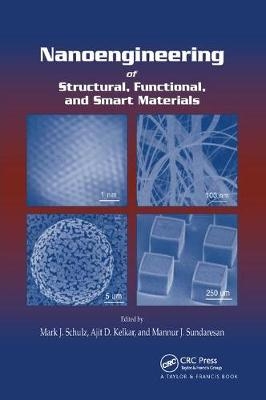 Nanoengineering of Structural, Functional and Smart Materials - 