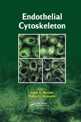 Endothelial Cytoskeleton - 