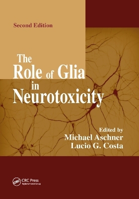 The Role of Glia in Neurotoxicity - 