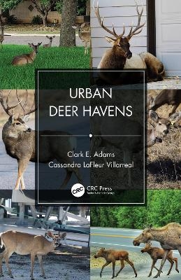 Urban Deer Havens - Clark E. Adams, Cassandra LaFleur Villarreal