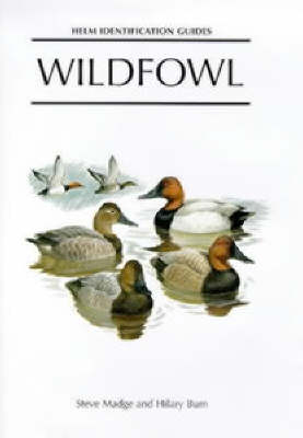 Wildfowl -  Madge Steve Madge