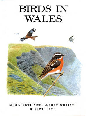 Birds in Wales -  Roger Lovegrove,  Graham Williams,  Iolo Williams