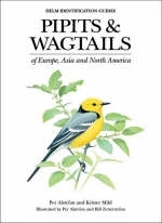 Pipits and Wagtails of Europe, Asia and North America -  Mild Krister Mild,  Alstr m Per Alstr m