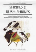 Shrikes and Bush-shrikes -  Tony Harris