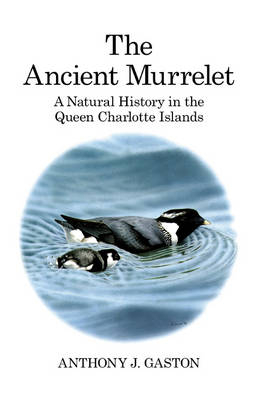 Ancient Murrelet -  Gaston Anthony J. Gaston