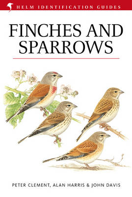 Finches and Sparrows - Clement Peter Clement