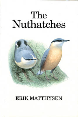 Nuthatches -  Matthysen Erik Matthysen