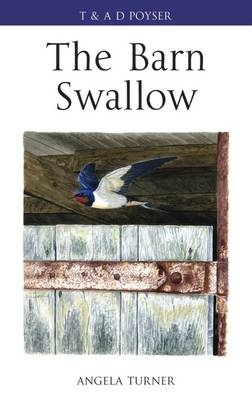 Barn Swallow -  Angela Turner