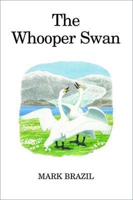 The Whooper Swan -  Mark Brazil