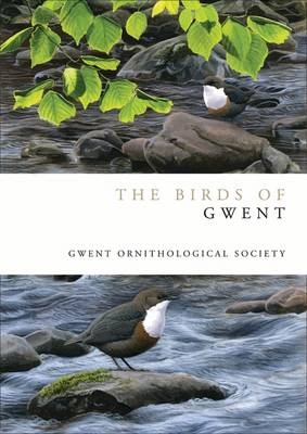 Birds of Gwent -  Gwent Ornithological society Gwent Ornithological society