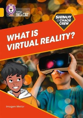 Shinoy and the Chaos Crew: What is virtual reality? - Imogen Mellor