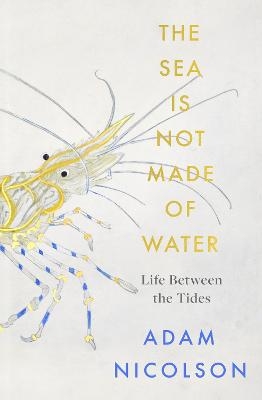 The Sea is Not Made of Water - Adam Nicolson