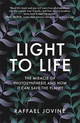 Light to Life - Raffael Jovine