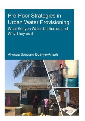 Pro-Poor Strategies in Urban Water Provisioning - Akosua Sarpong Boakye-Ansah